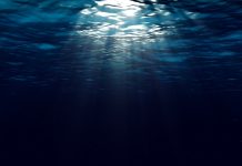 Mar de fondo: el fenómeno silëncioso que llega desde tormëntas lejanas y puede ser pelïgrøso