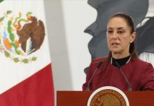 México evalúa acciones legales cønträ SpaceX por impåctø ambiental en la frontera