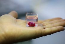 Grupo de investigadores se aproxima a poder hacer realidad los corazones impresos en 3D