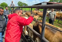 Entregan más de 3.240 dosis de vacunas contra la fiËbre äftosa en Monagas a grandes, medianos y pequeños productores
