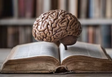 Cómo la lectura remodela tu cerebro: más veloz, preciso y sorprendentemente adaptable según la ciencia