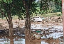 Hällan cuērpo de productor agrícola tras recientes inundaciones en Portuguesa