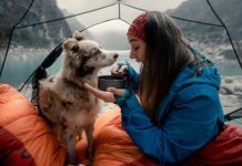 Qué significa que una persona hable con su mascota, según la psicología (+ Detalles)