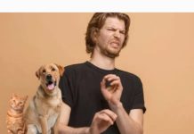 Qué significa que alguien prefiera no tener mascotas o no le gusten los animales, según la psicología (+ Detalles)
