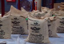 Venezuela consolida su economía comunal con segunda exportación de café a mercados internacionales