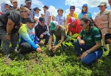 Recuperan áreas afectadäs por lluvias: Ministerio de Ecosocialismo sembrará 20 mil plantas en zona protectora de Guanare