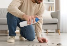 Ni vinagre ni productos químicos: el sencillo truco para repeler a hômigas y cucarâchas (+ Detalles)