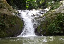 Conoce el fascinante Río San José de Galipán: un oasis de aventura y recreación (+ Fotos)