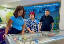 Delegación venezolana en Türkiye realizó un recorrido por el recinto ferial de «Hecho en Venezuela»