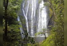 El Chorrerón de Caripe, una cascada majestuosa para visitar en el estado Monagas