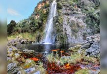 Un destino inigualable de naturaleza y paz te espera en el Estado Lara: ¡Conoce la Cascada del Vino!