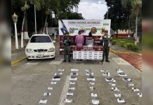 GNB incautó a miembros de la banda «Los Valencianos» más de 10 kilos de drogä en Táchira