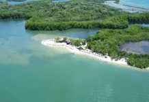 Descubre las playas de Miranda: paraísos naturales escondidos de Venezuela