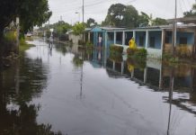 Autoridades regionales se mantienen alertä tras crecida del río Arauca y Apure por las lluvias