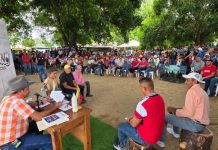 Apure da inicio al Plan de Siembra de Maíz 2025 con financiamiento para 2.500 hectáreas