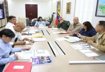 Consejo de Vicepresidentes evalúa estrategias para el desarrollo regional en el marco del plan 7T