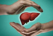 Cuidado hepático: alternativas naturales y hábitos saludables para un hígado óptimo