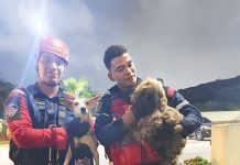 Bomberos de Anzoátegui rescataron dos caninos atrapados en un apartamento en Lechería