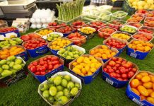 Venezuela posee atributos clave para impulsar su capacidad exportadora, afirmando los expertos