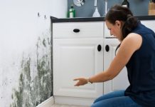 Ni cloro ni vinagre blanco: cómo limpiar el moho de las paredes de manera efectiva y en pocos minutos (+ Detalle)