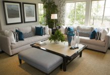 Tres objetos clave que podrían transformar tu sala y tu energía, según el Feng Shui