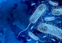 La OMS registra en mayo un aumento del 35% del número de casos de cólëra a nivel mundial (+ Detalles)