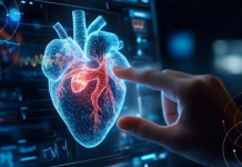 Científicos crearon miles de corazones digitales para estudiar enfermedadës cardíacas