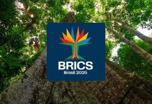 Brasil recibirá nuevo foro parlamentario de los BRICS durante primera semana de junio
