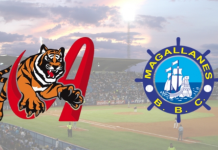 Magallanes y Tigres inician con los cambios de jugadores para la venidera campaña de la LVBP