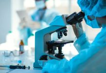 Investigadores catalanes descubren una nueva fuente de antibiótïcos naturales en proteínas