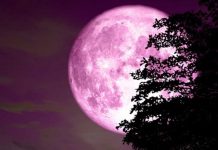 Luna de fresa estará en su máximo punto durante la madrugada del 11 de junio