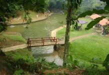 El Parque Nacional Guatopo: Un tesoro natural en el estado Miranda que deben conocer (+ Fotos)