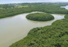 Conoce la Laguna de Tacarigua, un parque nacional en el estado Miranda cerca del mar caribe (+ Fotos)