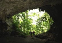 El Parque Nacional Juan Crisóstomo Falcón es uno de los destinos naturales imperdibles en Venezuela (+ Fotos)
