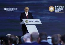 Presidente Vladimir Putin destacó el crecimiento de los BRCIS y su aporte en la economía global