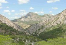 Parque Nacional Dinira: Un tesoro nacional dividido en tres estados venezolanos que debes conocer (+ Fotos)