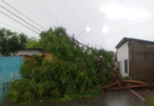 Fuertes lluvias y vientos asociados a la Onda Tropical N° 6 afectarön varias comunidades de Cumaná