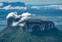 Parque Nacional Cerro Yapacana: Un destino natural para disfrutar del Amazonas venezolano (+ Fotos)