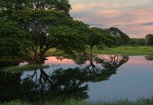 Aguas termales La Aguadita: El oasis perfecto para despejarse cerca de Tinaco y Tinaquillo (+ Fotos)