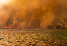 Gran incendïo cerca de Atenas obligó a las autoridades a realizar evacuaciones de emergëncia
