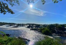 Parque Cachamay: una de la joyas naturales para visitar y conocer en Bolívar (+ Fotos)