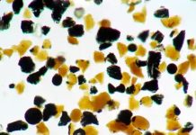 Comunidad científica analiza una serie de pequeños objetos naranjadas encontrados en la luna