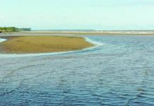 Más allá de los llanos y la sabana, Monagas también presume de la costa venezolana con Playa El Santo (+ Fotos)