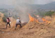 Incendios en Türkiye provocaron la evacuación de más de 50 mil personas en distintas zonas del país (+ Detalles)