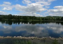 Un parque Belga cierra temporalmente tras avistar un caimán «de buen tamaño» (+ Detalles)