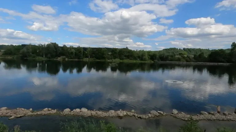 Un parque Belga cierra temporalmente tras avistar un caimán «de buen tamaño» (+ Detalles)