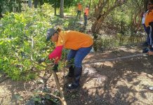 Plan de Mantenimiento Preventivo de Canales y Quebradas realizó jornada de limpieza y desazolve en Sucre