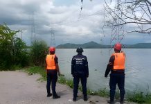 Autoridades investigan causas de muertë de un significativo banco de peces en el Lago de Valencia