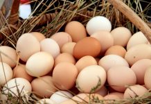 Esta es la forma correcta de comer huevo para aumentar tu masa muscular: aprovecha al máximo su alto contenido de proteína