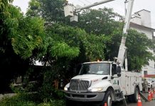 México restablece el servicio eléctrico al 91,7 % de los afêctados por el paso de Erick (+ Detalles)